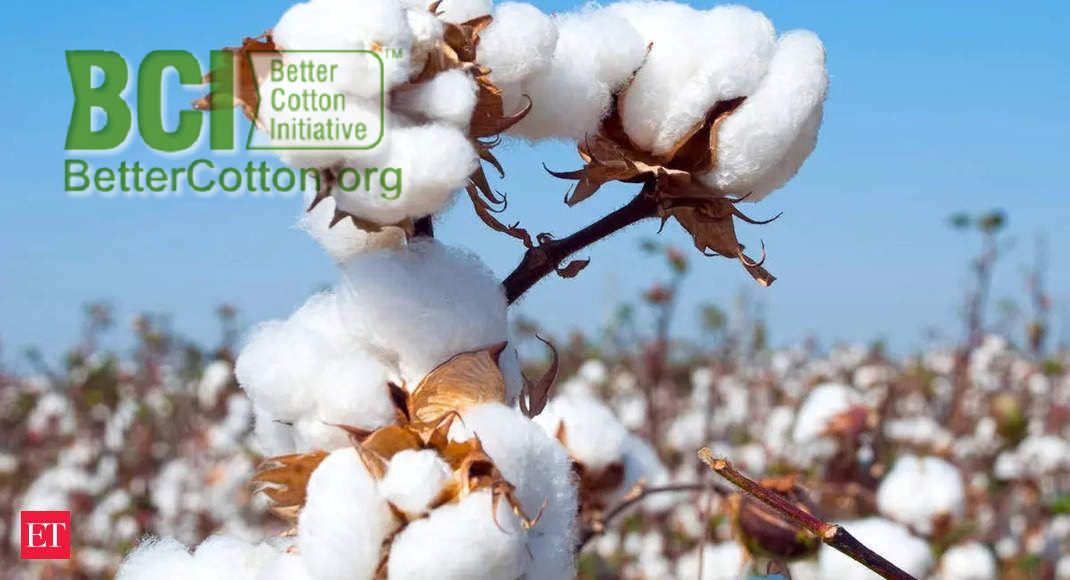 Rising cotton, yarn prices may hit apparel exports target AEPC chairman.jpg