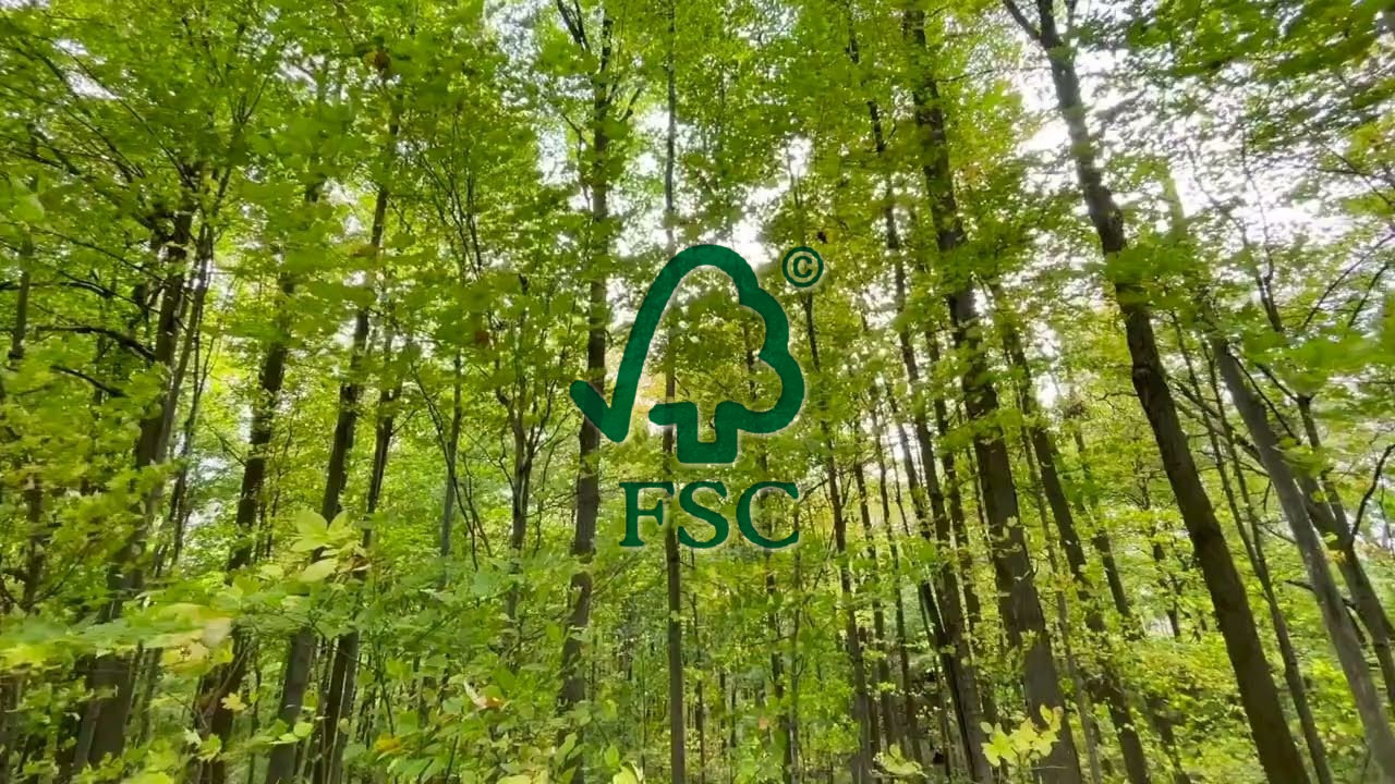 LZB0DSISQTPQ6.jpg